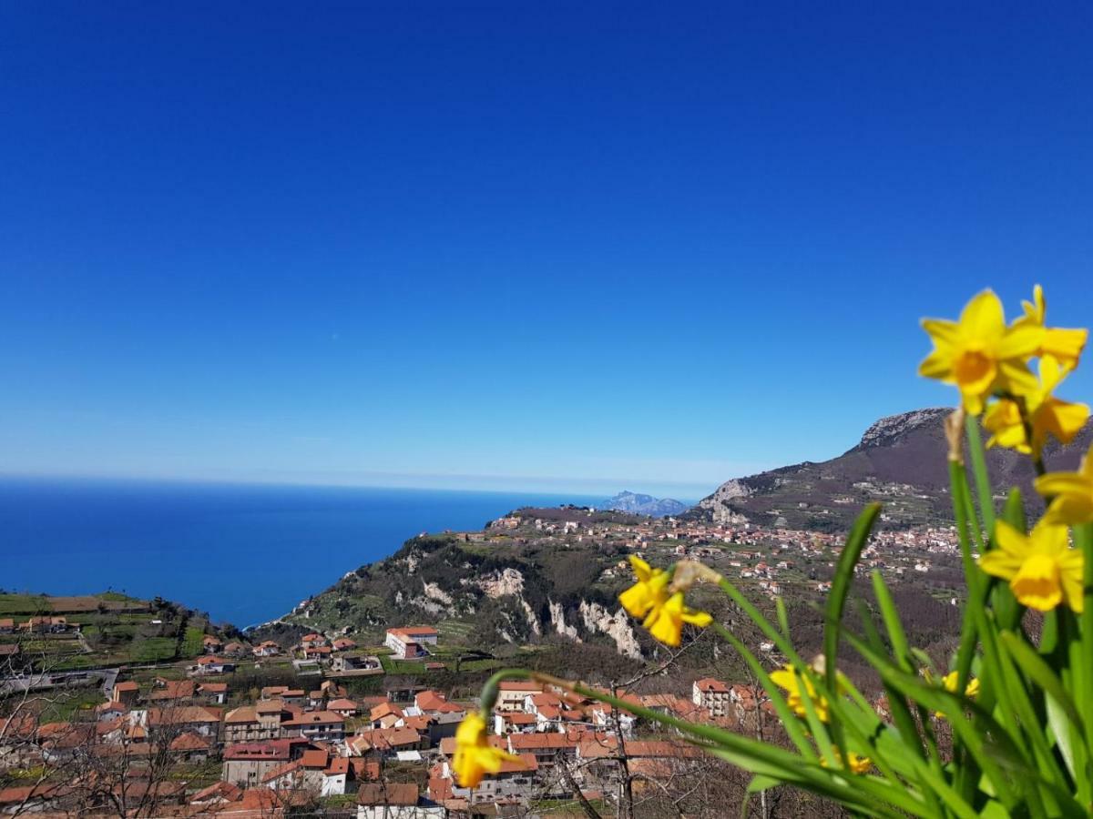 B&B Villa Reginella Agerola Zewnętrze zdjęcie